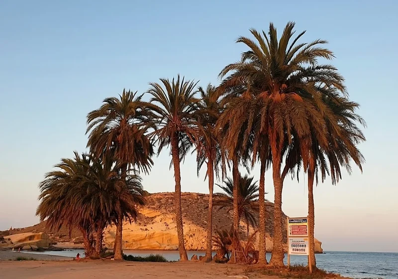 Playa Las Palmeras con vistas al mar